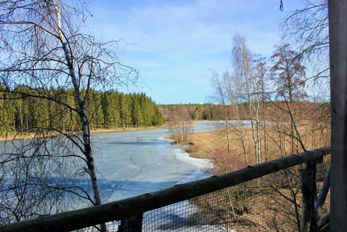 Tretopphytter Pa Grensen - Beverhytta Med Robat Og Gjeddefiske هالدن المظهر الخارجي الصورة